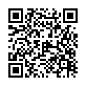 To view this 2011 Chevrolet HHR Essex MD from Aero Motors Used Cars For Sale Essex MD, please scan this QR code with your smartphone or tablet to view the mobile version of this page.