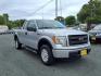 2013 Ingot Silver Metallic Ford F-150 STX (1FTEX1EM8DK) with an 3.7L 6 Cylinder Sequential-Port F.I. engine, AT 4X4 transmission, located at 50 Eastern Blvd., Essex, MD, 21221, (410) 686-3444, 39.304367, -76.484947 - Photo#7