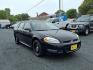 2015 Black Chevrolet Impala Limited Police (2G1WD5E38F1) with an 3.6L 3.6L Flex Fuel V6 302hp 262ft. lbs. Fuel Injected engine, 6-Speed Automatic w/Overdrive transmission, located at 50 Eastern Blvd., Essex, MD, 21221, (410) 686-3444, 39.304367, -76.484947 - Photo#6