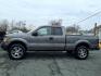 2014 Sterling Gray Metallic Ford F-150 STX (1FTFX1EF8EF) with an 5.0L 8 Cylinder Sequential-Port F.I. engine, Automatic transmission, located at 50 Eastern Blvd., Essex, MD, 21221, (410) 686-3444, 39.304367, -76.484947 - Photo#1