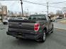 2014 Sterling Gray Metallic Ford F-150 STX (1FTMF1CM5EF) with an 3.7L 6 Cylinder Sequential-Port F.I. engine, Automatic transmission, located at 50 Eastern Blvd., Essex, MD, 21221, (410) 686-3444, 39.304367, -76.484947 - Photo#4