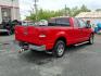 2005 Red Ford F-150 XLT (1FTPX12525N) with an 5.4L Triton 5.4L V8 300hp 365ft. lbs. Sequential-Port F.I. engine, 4-Speed Automatic transmission, located at 50 Eastern Blvd., Essex, MD, 21221, (410) 686-3444, 39.304367, -76.484947 - Photo#4