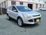 2013 Silver Ford Escape SEL (1FMCU0HX3DU) with an 1.6L 4 Cylinder Turbocharged engine, Automatic transmission, located at 50 Eastern Blvd., Essex, MD, 21221, (410) 686-3444, 39.304367, -76.484947- Photo#6