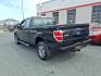 2013 Black Ford F-150 STX (1FTFX1EF6DF) with an 5.0L 8 Cylinder Sequential-Port F.I. engine, AT4X4 transmission, located at 50 Eastern Blvd., Essex, MD, 21221, (410) 686-3444, 39.304367, -76.484947- Photo#2
