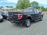 2013 Black Ford F-150 STX (1FTFX1EF6DF) with an 5.0L 8 Cylinder Sequential-Port F.I. engine, AT4X4 transmission, located at 50 Eastern Blvd., Essex, MD, 21221, (410) 686-3444, 39.304367, -76.484947- Photo#4